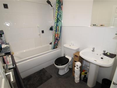 Picture 8